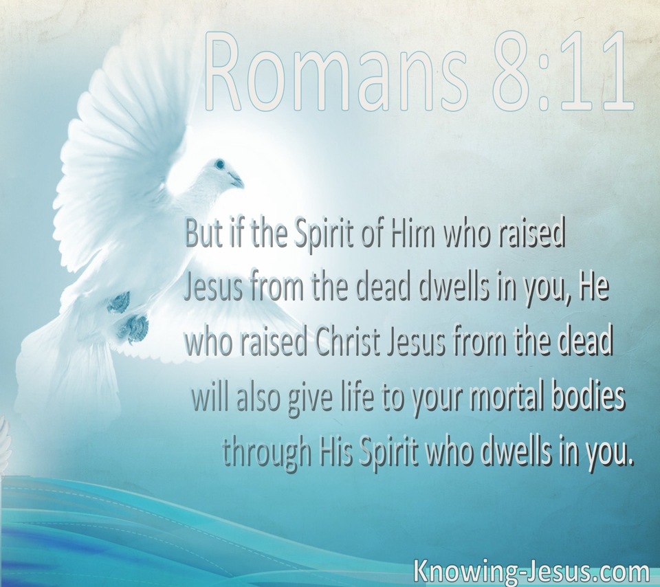 Romans 8:11 He Who Raised Christ Dwells In You (white)